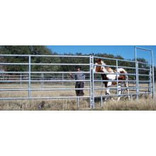 Estável do cavalo da haste de ferro feito em China